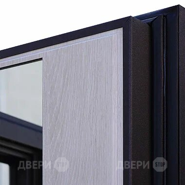 Входная металлическая Дверь Шелтер (SHELTER) Филадельфия Зеркало в Краснознаменске