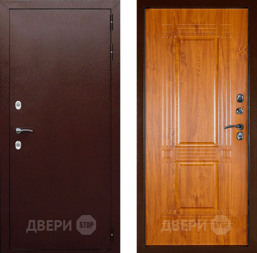 Дверь Аргус Тепло-1 в Краснознаменске