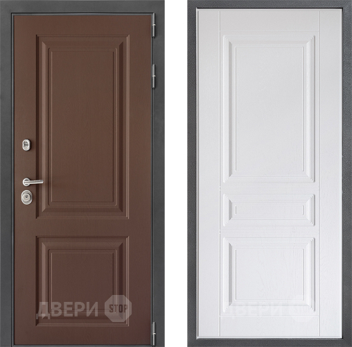 Входная металлическая Дверь Дверной континент ДК-3/729 ФЛ-243 Альберо Браш серебро в Краснознаменске