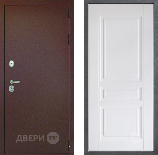 Входная металлическая Дверь Дверной континент Рубикон Медь Дизайн ФЛ-243 Альберо Браш серебро в Краснознаменске
