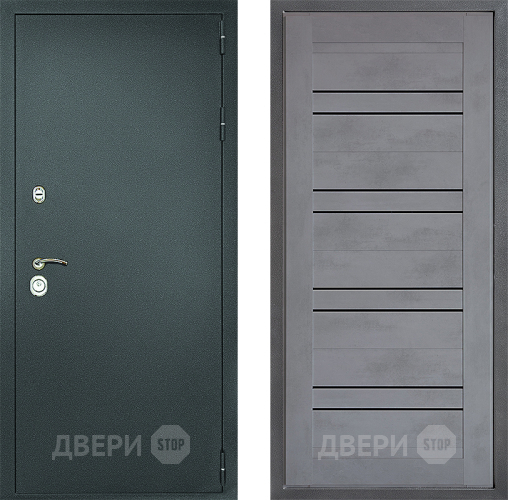 Входная металлическая Дверь Дверной континент Рубикон Серебро Дизайн ФЛ-49 Бетон серый в Краснознаменске