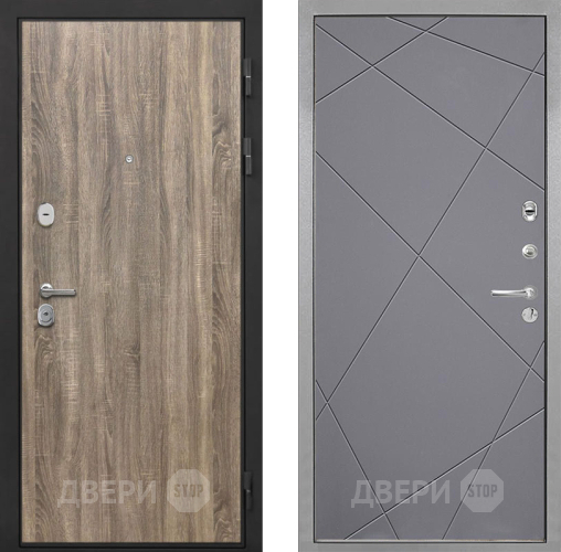 Входная металлическая Дверь Интекрон (INTECRON) Гектор Дуб Турин Лучи-М Графит софт в Краснознаменске