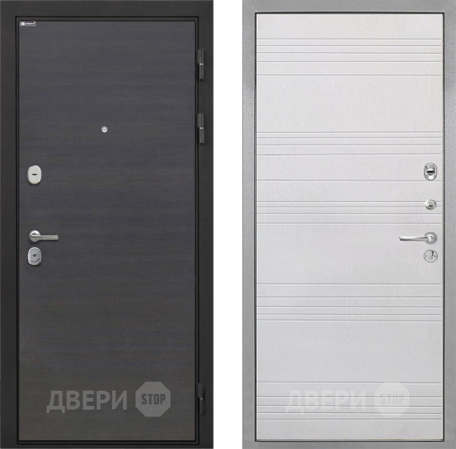 Входная металлическая Дверь Интекрон (INTECRON) Гектор Эковенге ФЛ-316 Белый ясень в Краснознаменске