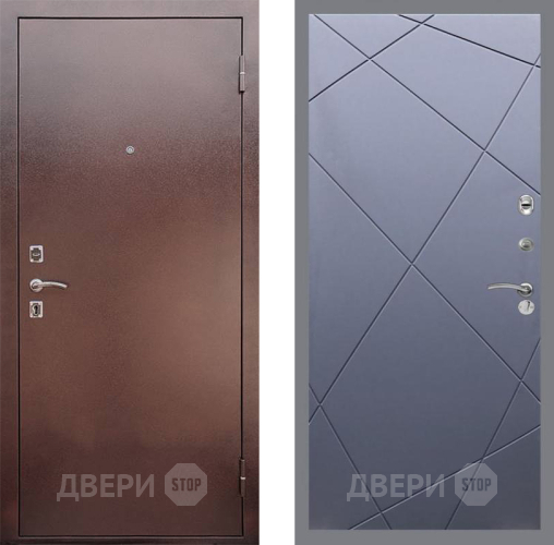 Входная металлическая Дверь Рекс (REX) 1 FL-291 Силк титан в Краснознаменске