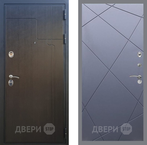 Входная металлическая Дверь Рекс (REX) Премиум-246 FL-291 Силк титан в Краснознаменске