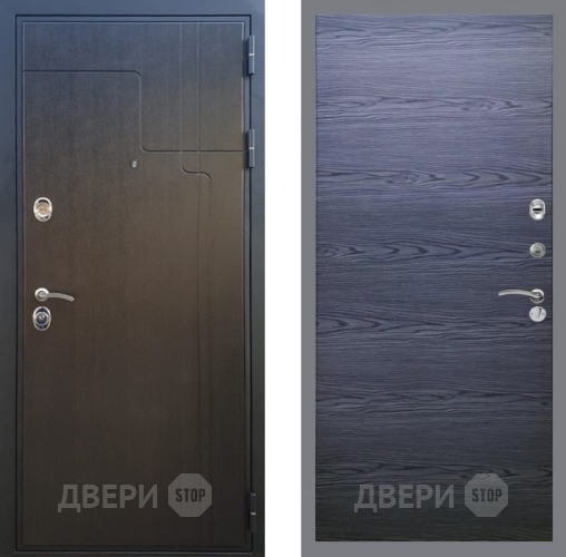 Входная металлическая Дверь Рекс (REX) Премиум-246 GL Дуб тангенальный черный в Краснознаменске