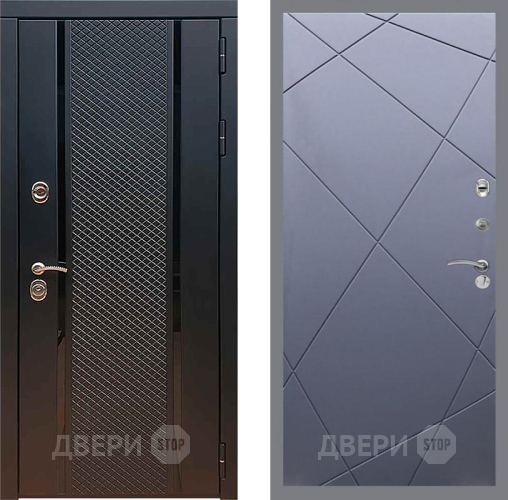Дверь Рекс (REX) 25 FL-291 Силк титан в Краснознаменске