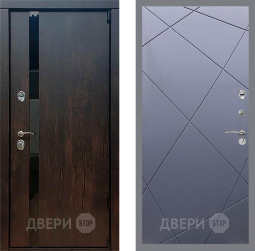 Входная металлическая Дверь Рекс (REX) 26 FL-291 Силк титан в Краснознаменске