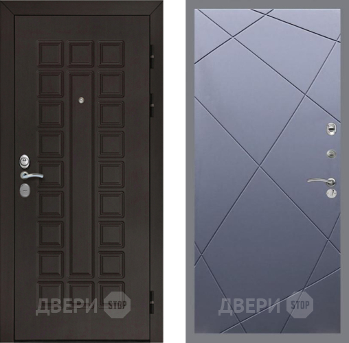 Входная металлическая Дверь Рекс (REX) Сенатор Cisa FL-291 Силк титан в Краснознаменске